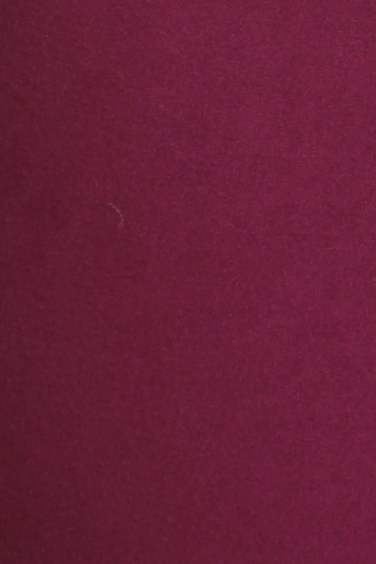 Burgandy Palazzo Pants